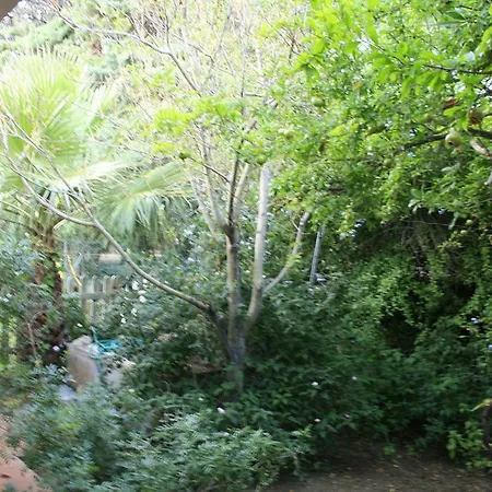 Mareysol Villa *